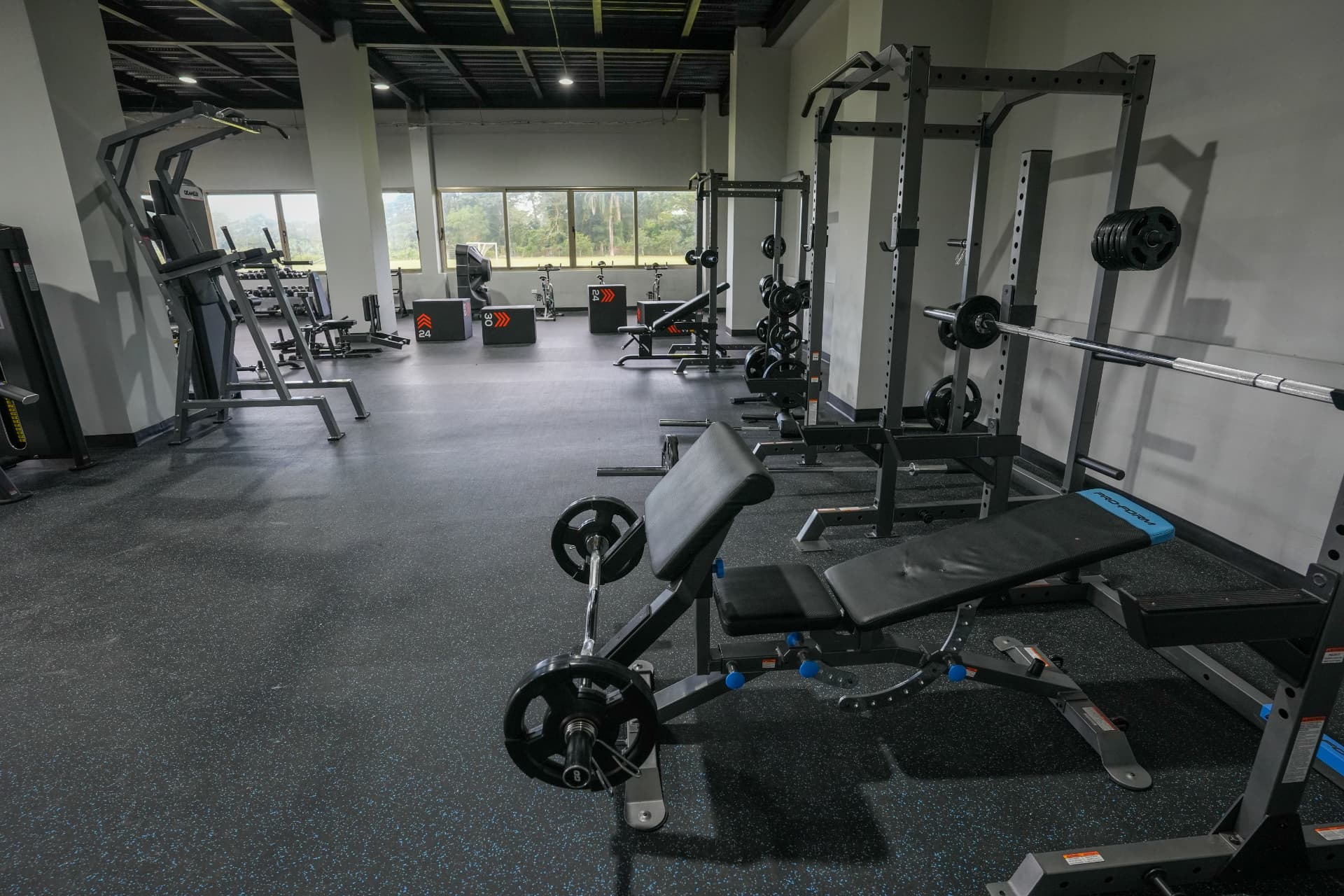 Gimnasio