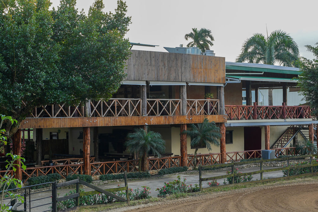 Arena cubierta