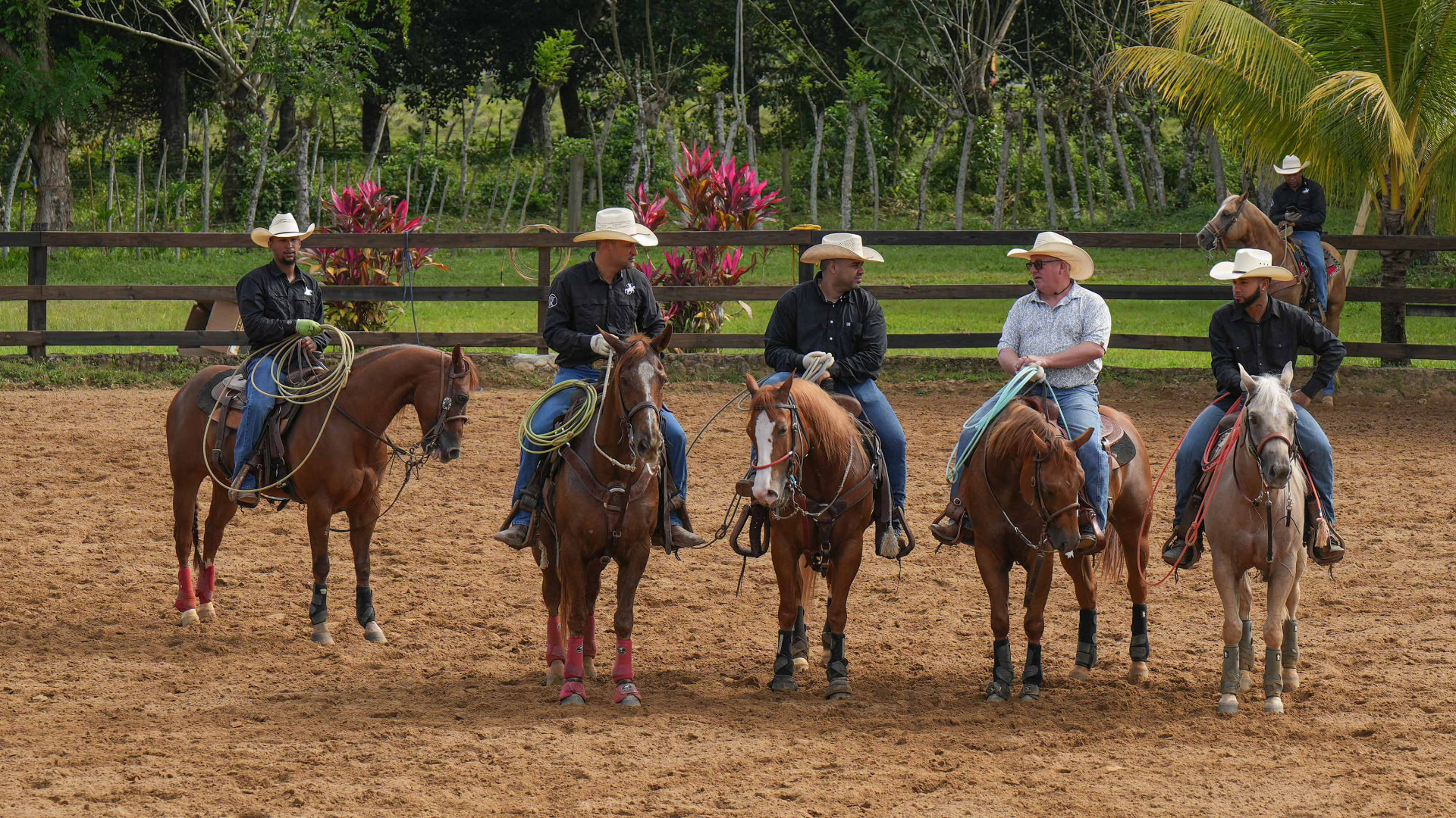 Clínica de Enlace AQHA