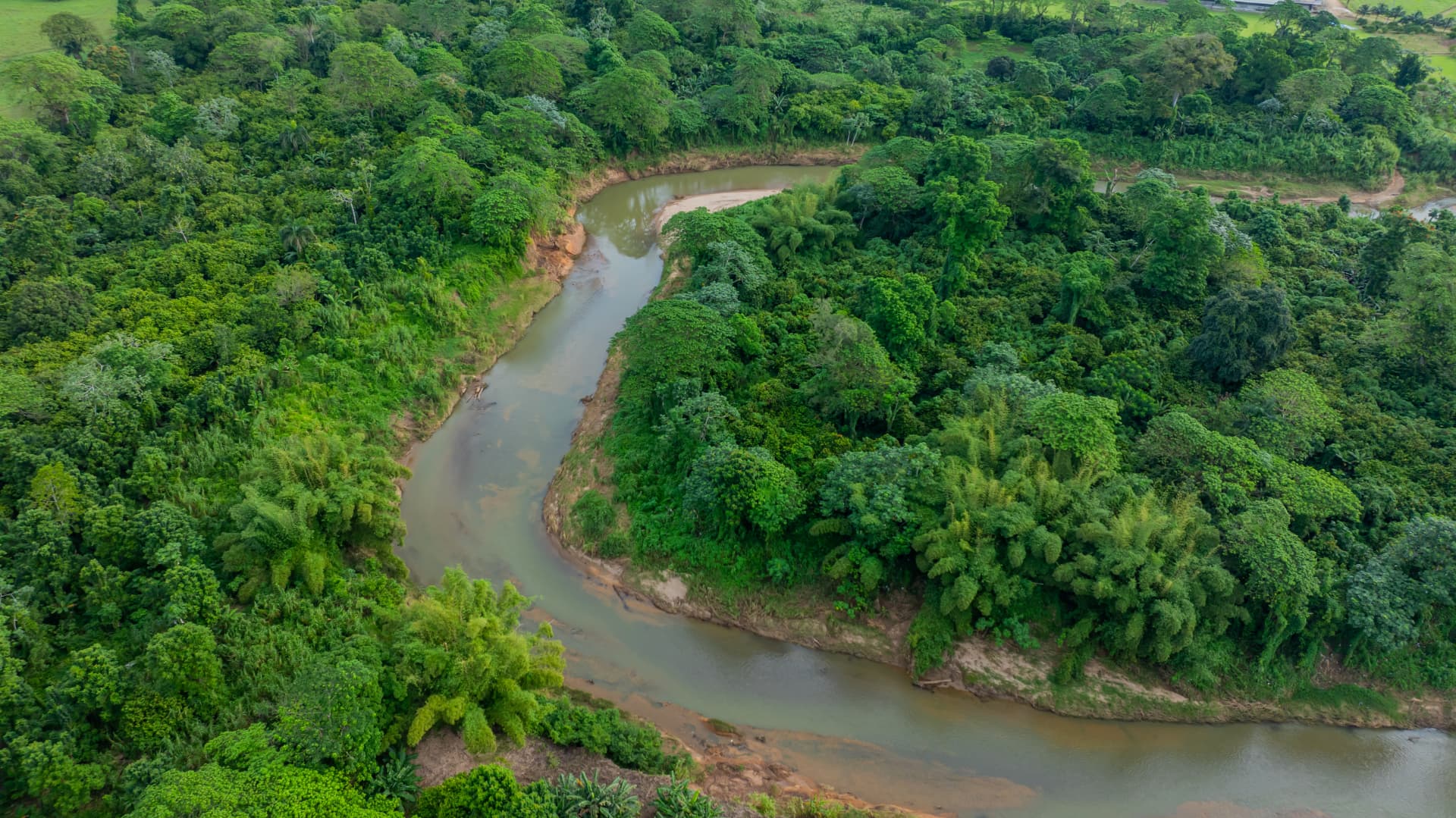 Curva del río entre vegetación tropical