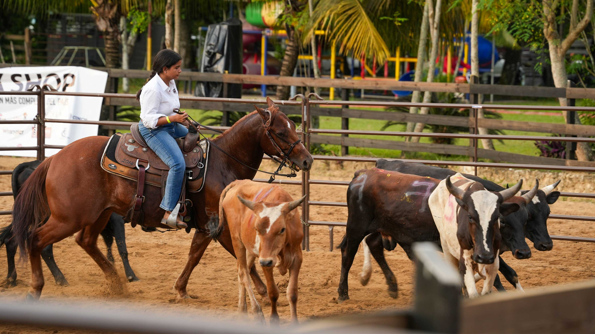 Ranch Sorting