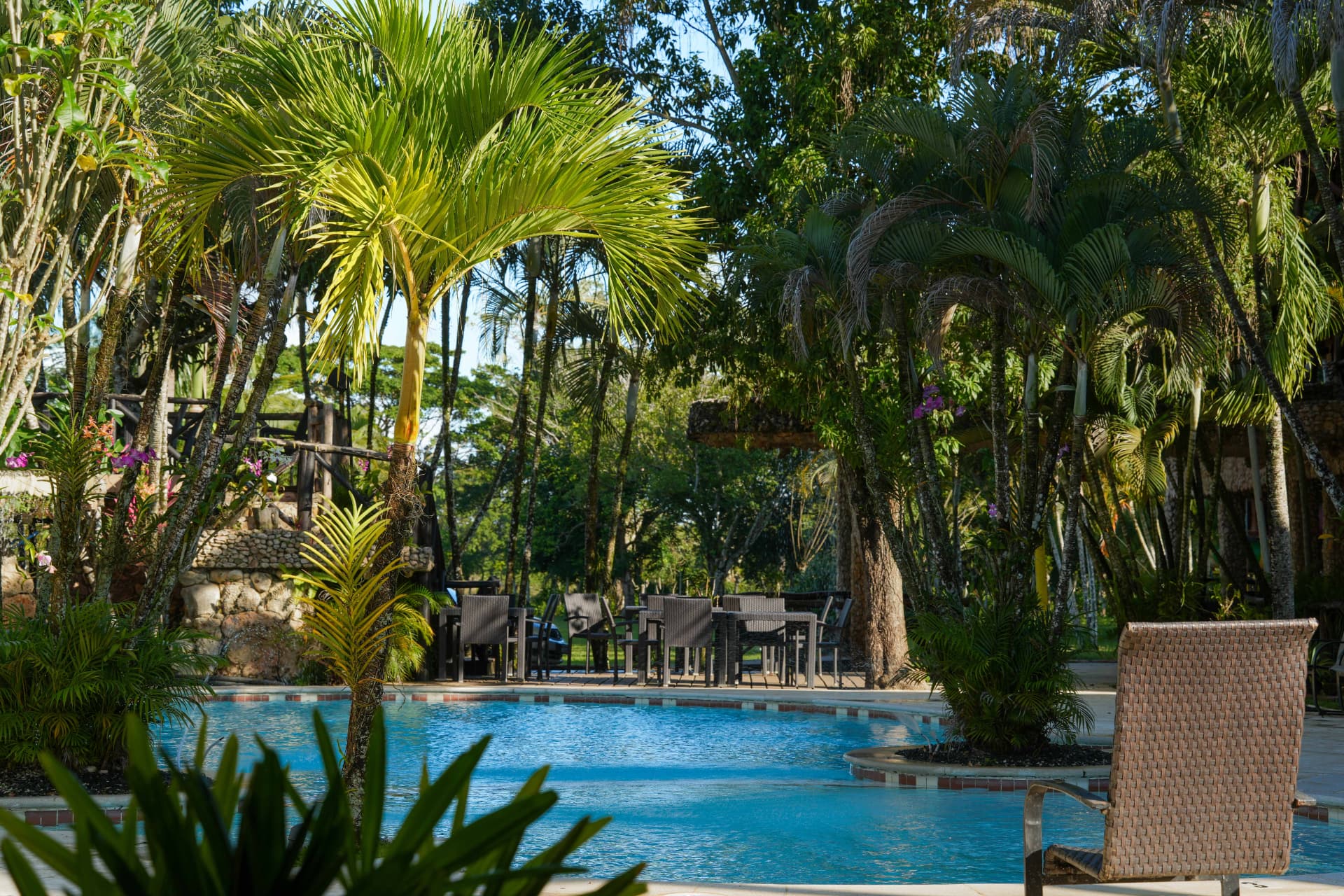 Piscina con palmeras y área de mesas al fondo