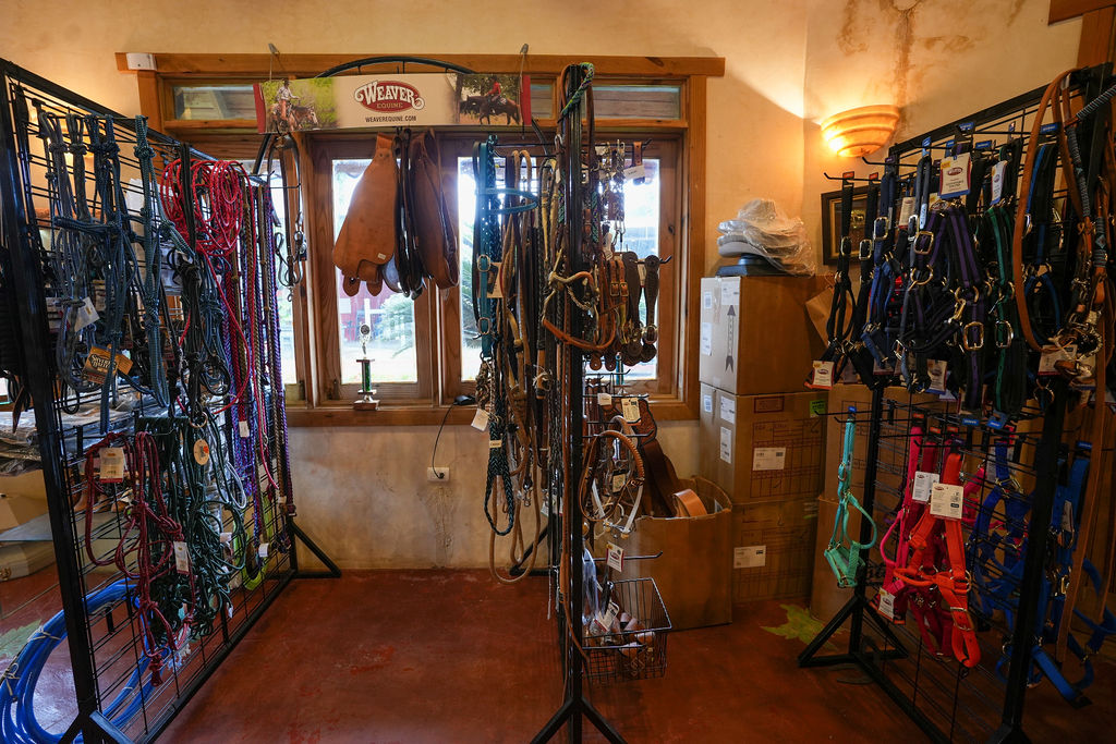 Cabezadas, riendas y sogas en el Tack Shop