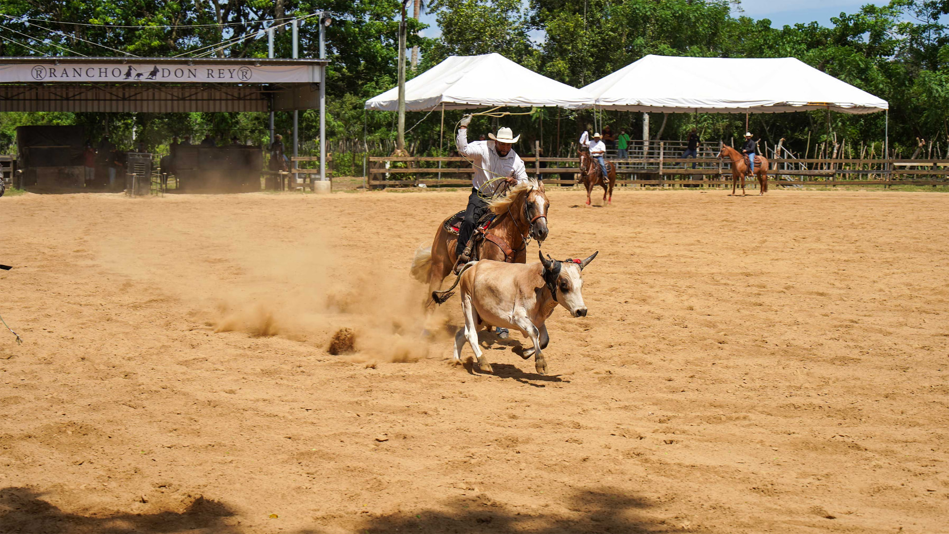 Enlace Juzgado